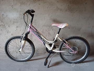 Bicicletta Montana Escape con cambio Shimano.