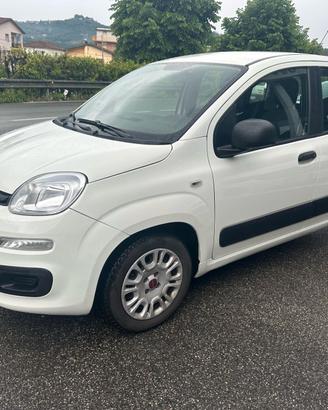 Fiat Panda 1.3 MJT 95 CV S&S Easy