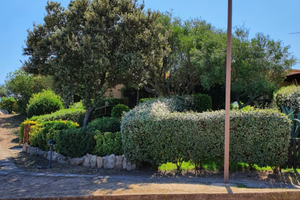 Villetta Stazzo Pulcheddu, Palau