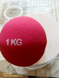 manubri da 1kg 