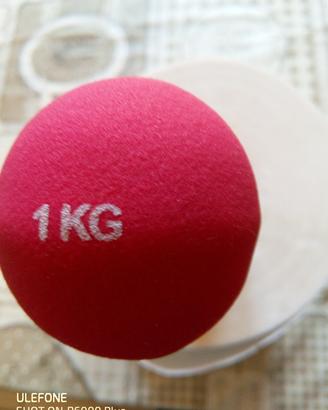 manubri da 1kg 