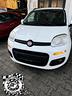 fiat-panda-1-2-lounge-km-originali-clima-cerchi