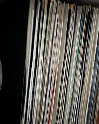 Dischi in vinile vari generi