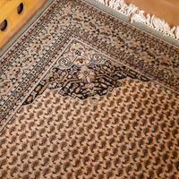 Tappeto lana 100%: cm 167x245