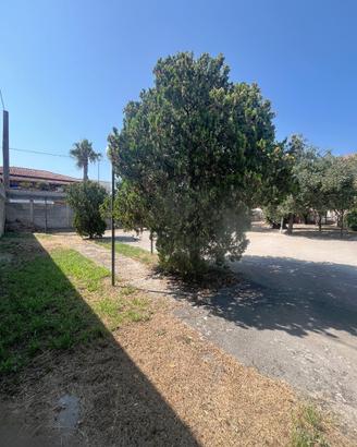 Rif. 537 - due lotti terreno di circa 1200 mq