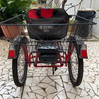 TRICICLO ELETTRICO