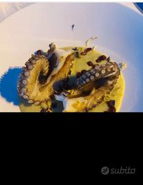 Chef operativo disponibile esperienze documentate