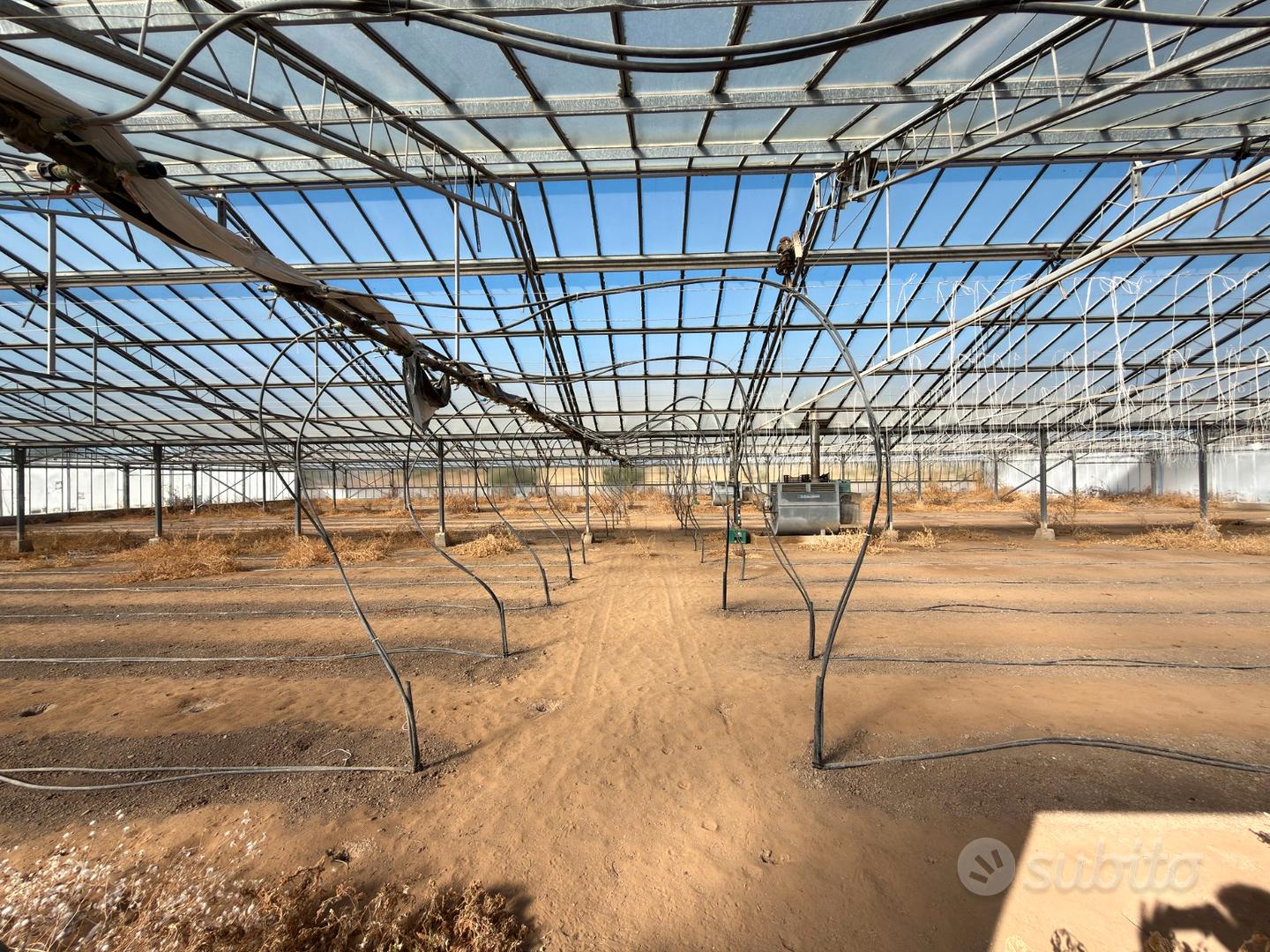 Terreno agricolo con ampia serra e risorsa idrica - Vista 4