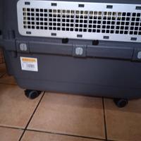 trasportino omologato per aereo