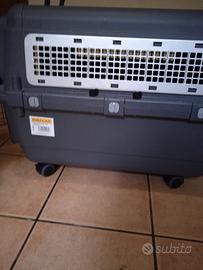 trasportino omologato per aereo