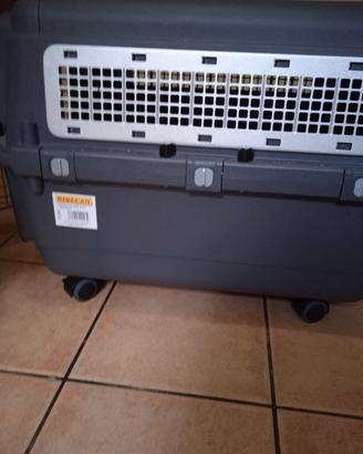 trasportino omologato per aereo