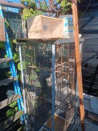 3 Gabbie per uccelli