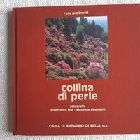 Gianfranco Bini: Collina di perle (Parco Burcina)