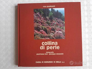 Gianfranco Bini: Collina di perle (Parco Burcina)