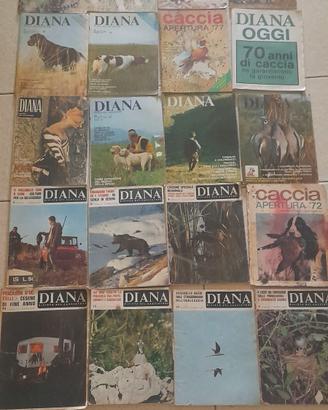 lotto 20 riviste Diana dal 1970 al 78