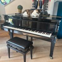 Pianoforte quarto di coda