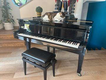 Pianoforte quarto di coda