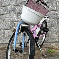 Bicicletta bimba