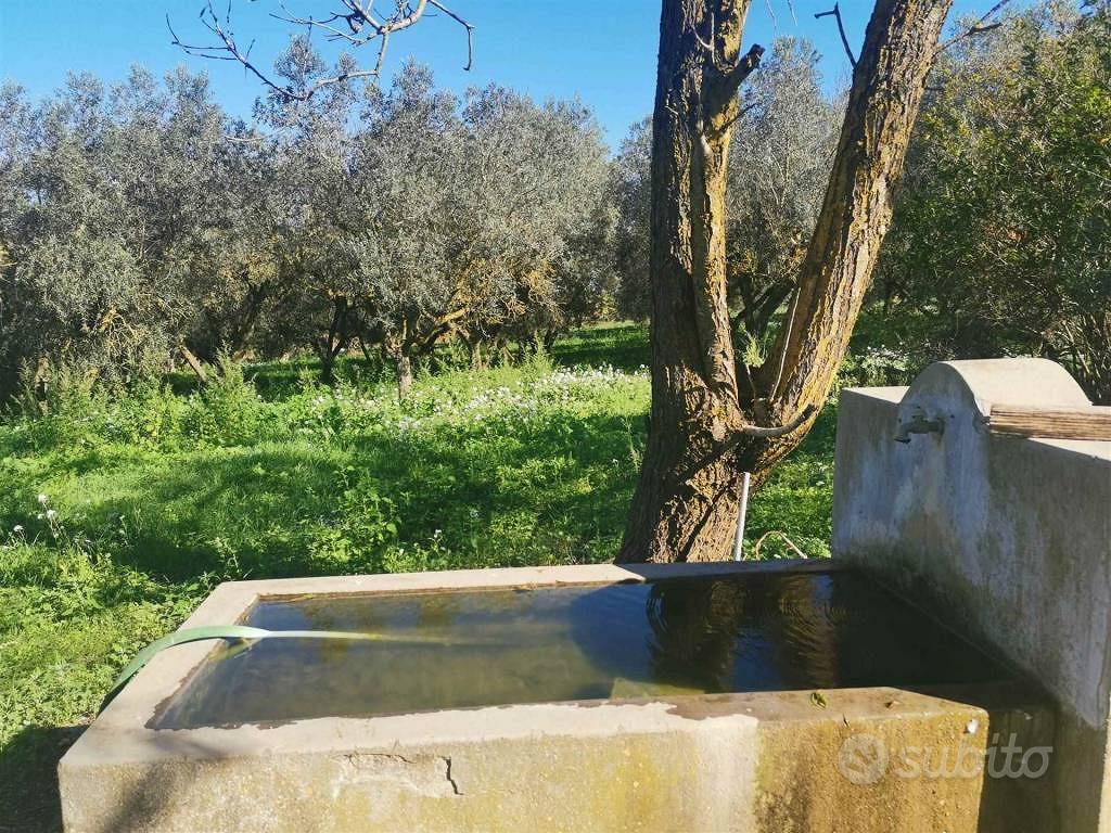 Rustico / Casale di 1380 m² con più di 5 locali e - Altro