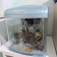 Acquario 40litri heto