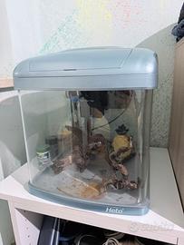 Acquario 40litri heto