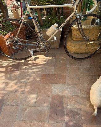 poretti bici