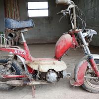 Motorino Beta