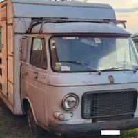 Camper Fiat 238 ARCA Prima Serie