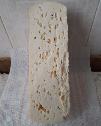 Formaggio di capra fresco primo sale