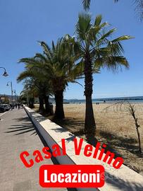 Casal Velino 28 giugno 12 luglio ridosso spiaggia