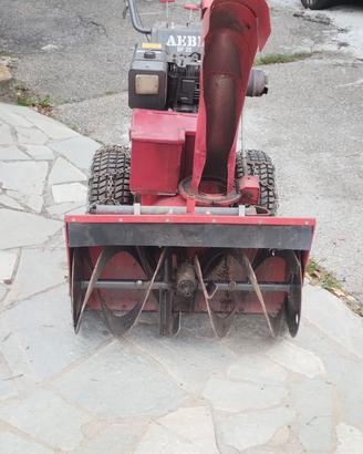 Turbina neve