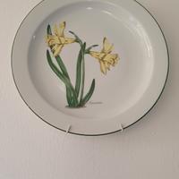 piatti da parete con reggipiatto