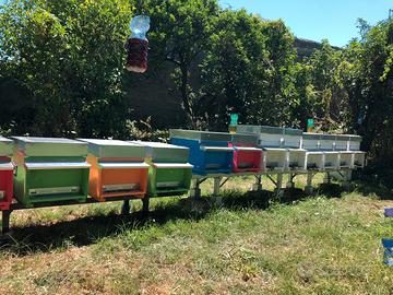 Posticino tranquillo ed accessibile per Apiario