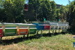 Posticino tranquillo ed accessibile per Apiario