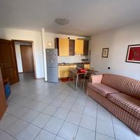 Big Bright Apartment