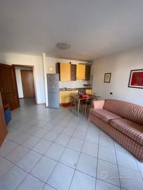 Big Bright Apartment