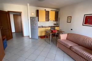 Big Bright Apartment