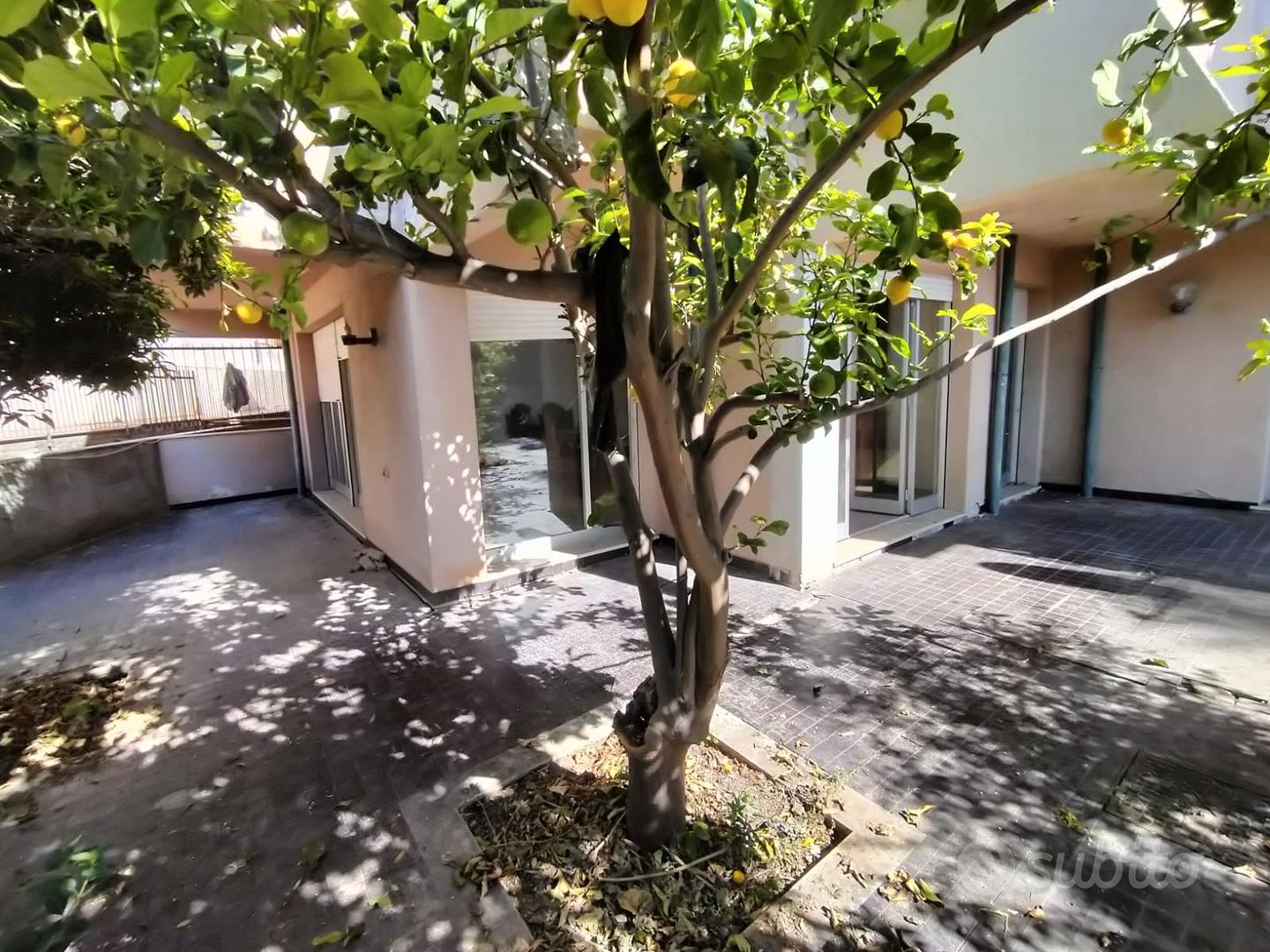 Privato ampio appartamento con giardino - Vista 2