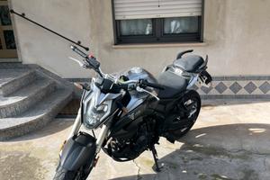 Voge Brivido 500R