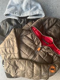 Giubottino bimbo 2/4 anni Save the duck/Ovs
