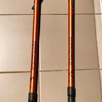 Bastoncini trek sport specialist