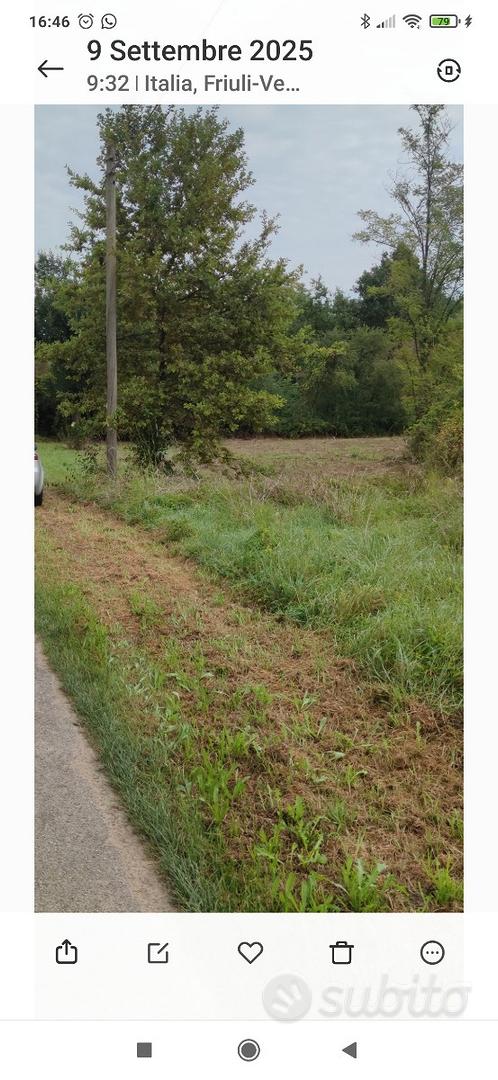 Terreno agricolo - Vista 4