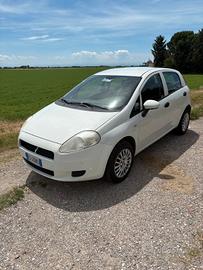 fiat punto 