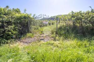 TER. AGRICOLO A MARCELLINA