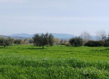 Terreno Agricolo a Ponzano Romano