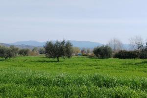 Terreno Agricolo a Ponzano Romano