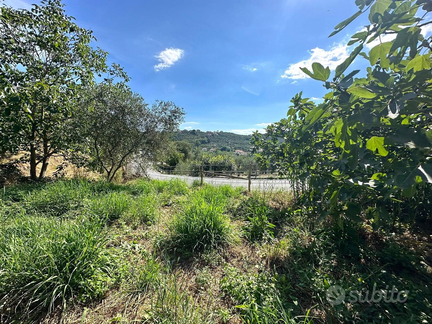 Terreno Residenziale Imperia [Cod. rif 802VRG] - Vista 2