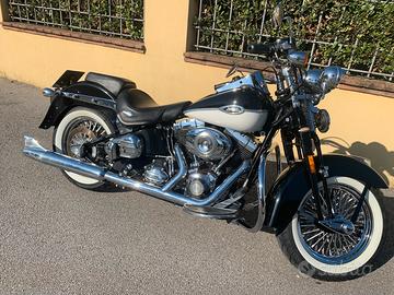 Harley springer