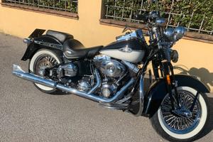 Harley springer