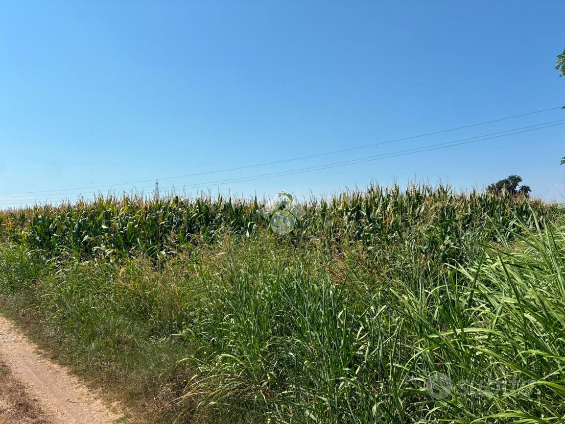 TER. AGRICOLO A ALBAIRATE - Vista 2
